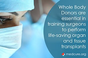 Spotlight: Organ Transplant Training for Surgeons