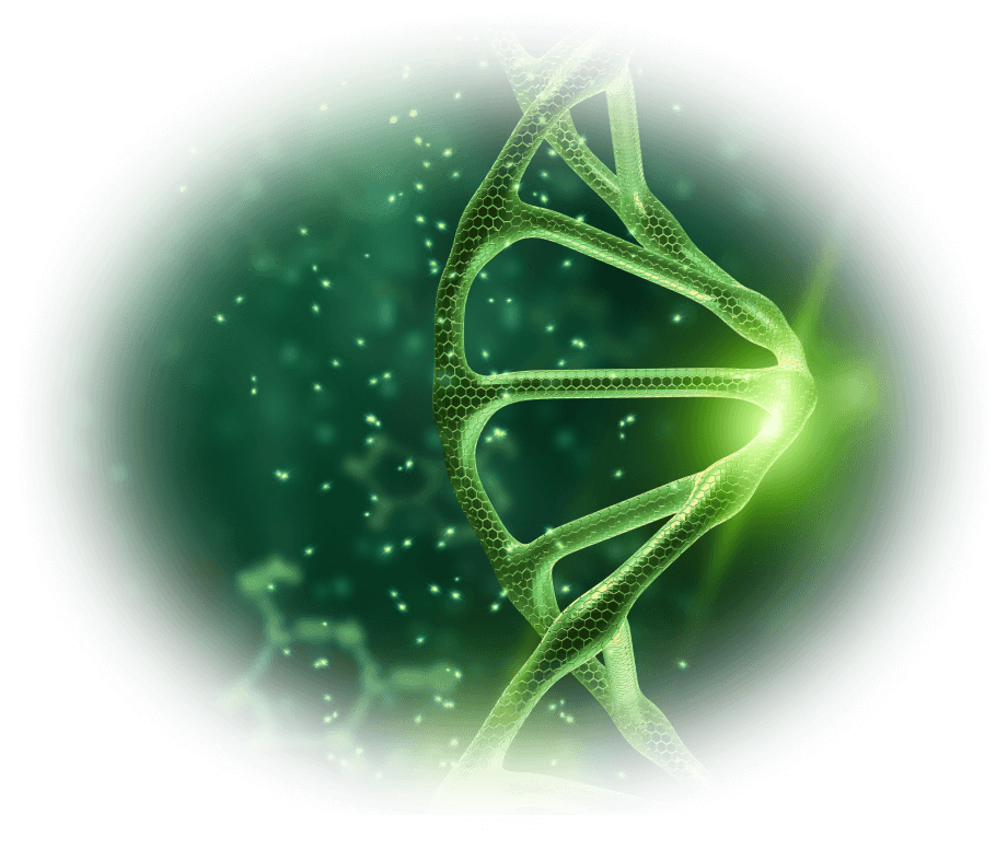 Custom Specimen Preparation Services