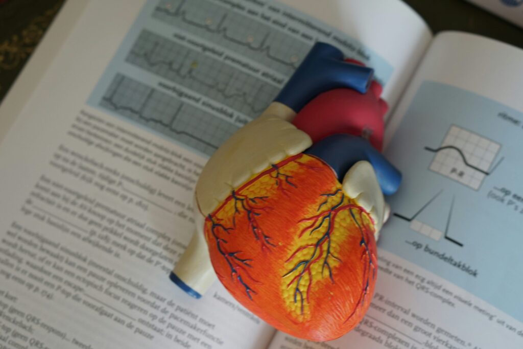 Anatomical heart model placed on an open medical textbook, showing ECG readings and diagrams related to cardiac research and medical education.